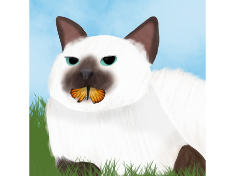 Pfp Contest entry