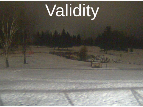validity Surveillance840