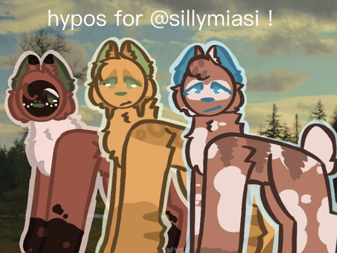 hypo's for @sillymiasi 