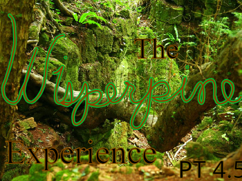 TWE @orenge_kitten 's version