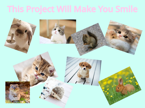 This Project Will Make You Smile