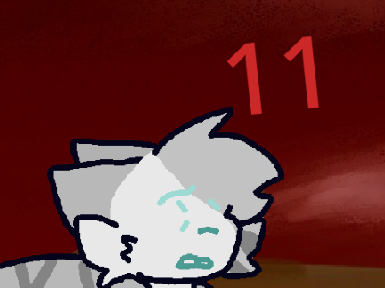 11 ✧