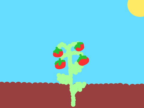 Animation of a Tomato Plant