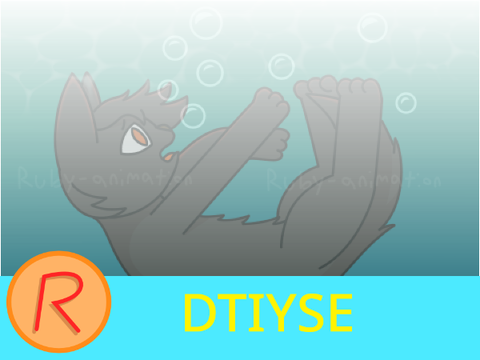 DTIYSE | Qcuackers