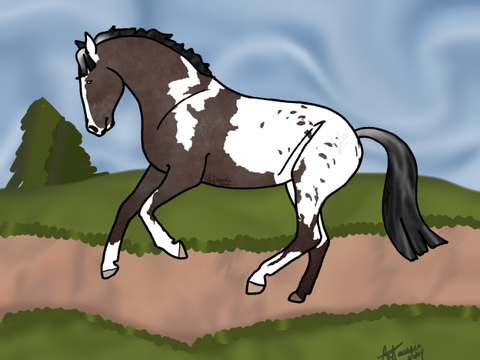 }{} Lance