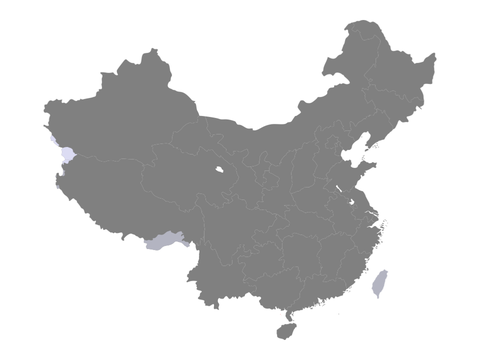 中国ベクトル