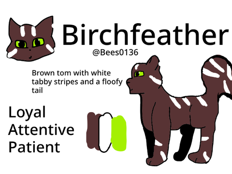 Birchfeather info