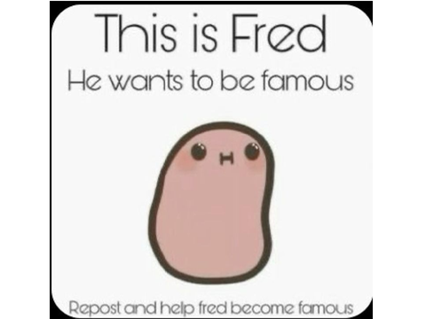 REPOST FRED <333                 