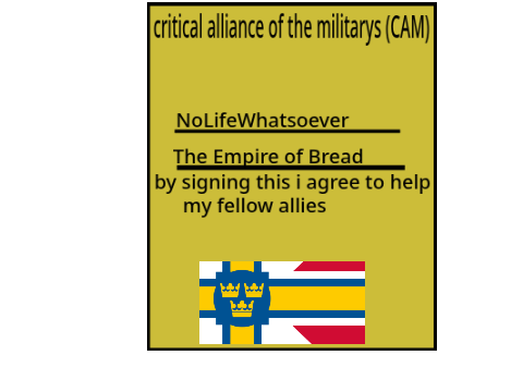 critical alliance of the militarys (CAM) remix