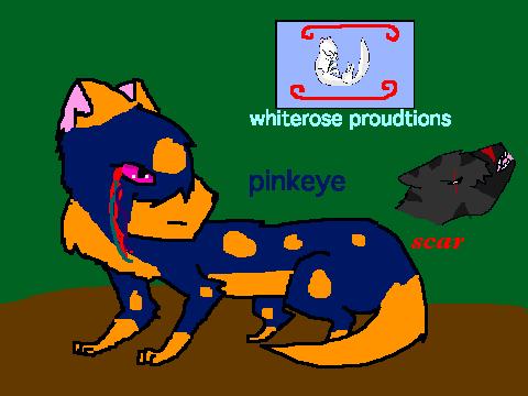 warrior cat coloring contest with dark scared mate