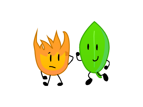Firey and Leafy :P