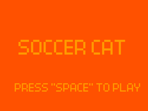 soccer cat