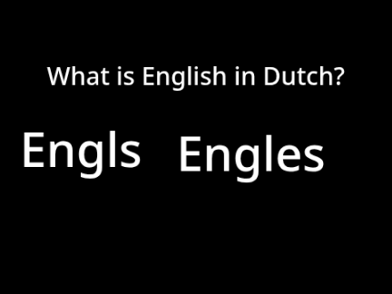 prove your self worthy to go on the dutch studio