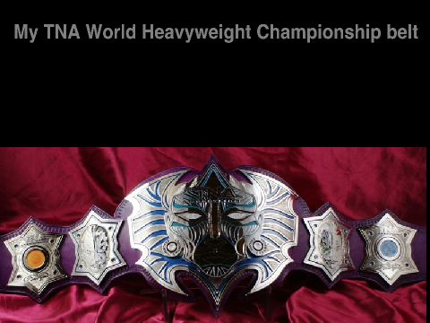My Immortal, Enigma TNA Belt