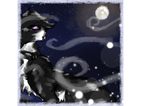 Paws || Matching PFP