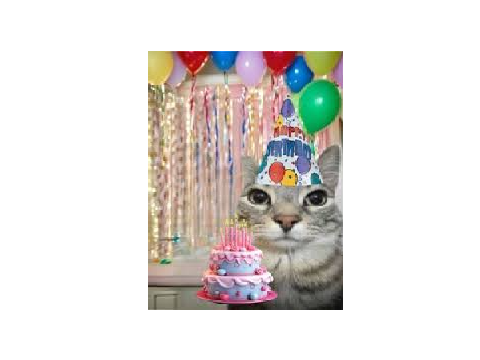 it's my birthday