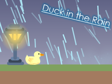 Duck in the rain