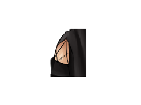 Guess the OC V2