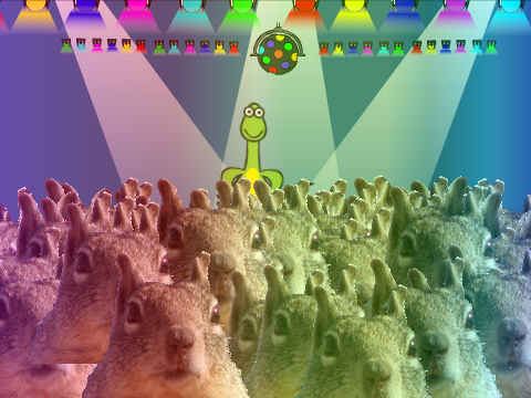 what am I doign with me life