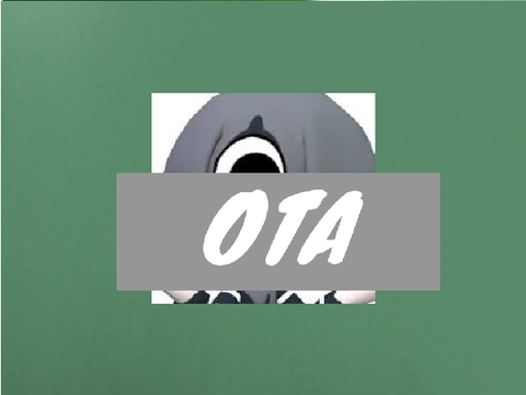 ota/auction?