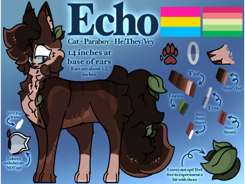 Echo - TCC