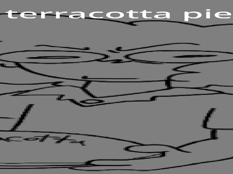 Terracotta pi (after 4 months)