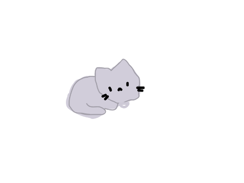 My cat right now :3