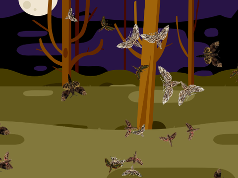 Creatures that move randomly