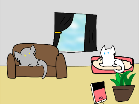 The cat room - Cozy interactive art