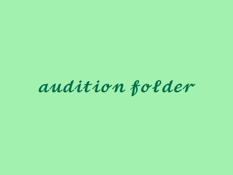 ˚˖❀ audition folder