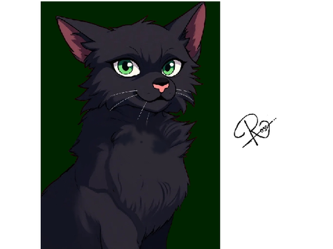 Hollyleaf
