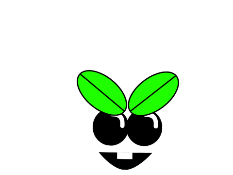 HAVE FILLOTS FACE