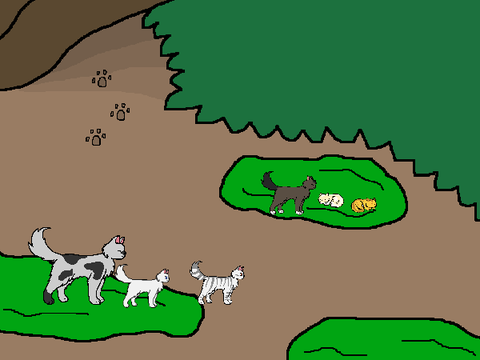 Life in MoonClan WIP