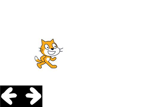 Cat test