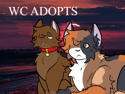 WC Adopts