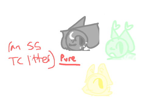pure . a ss Topclan litter