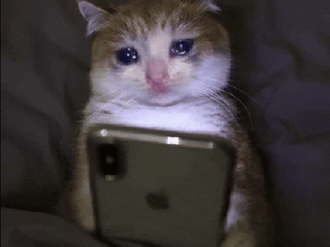 YOUR LOVE IS MY DRUG<CAT SAD>