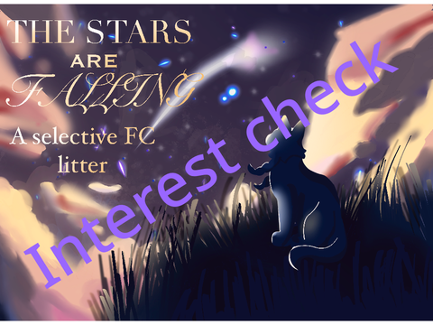 Litter interest check - THE STARS ARE FALLING 