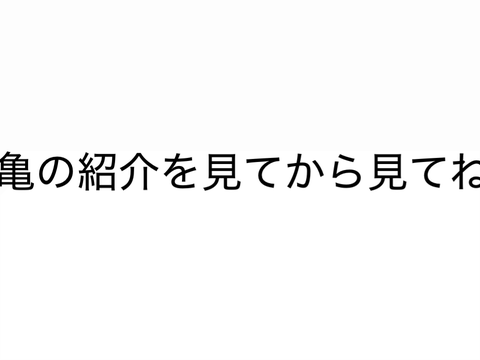 新しく水槽が変わったよ