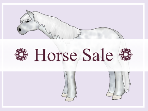 No.2 ❁ Horse Sale ❁