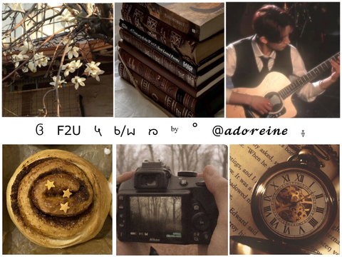 ꔫ F2U ⇆ B/Ws ⊞