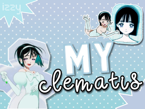 ✧.*   my clematis : ̗̀➛ cover