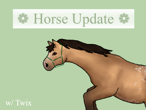 No.3 ❁ Horse Update ❁ 