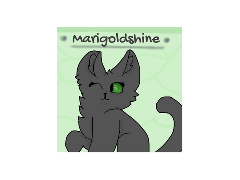 I made a new profile picture!!!