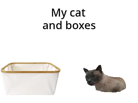 POV Life: Ep1: My Cat and Boxes