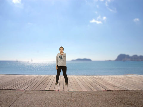 anima dance remix