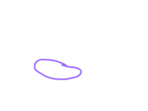 Rando