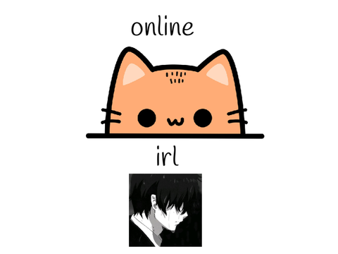 me how am i irl and online 