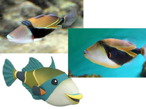 Humuhumunukunukuapua'a