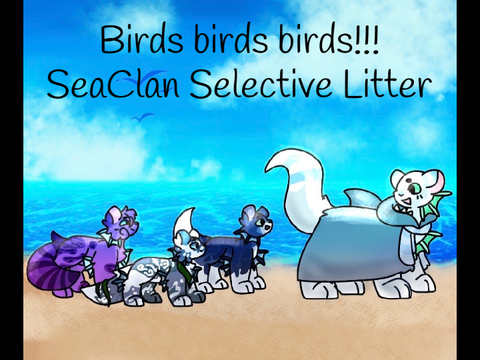 [ Closed ] [ Birds bird birds!!!! ] - A Selective SeaClan litter